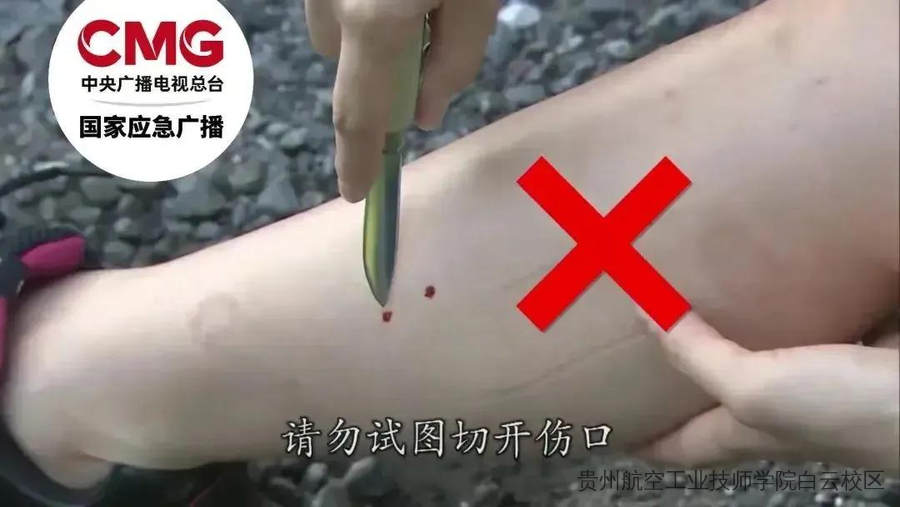 蛇类进入活跃期！防蛇安全指南，请转发给身边的朋友！