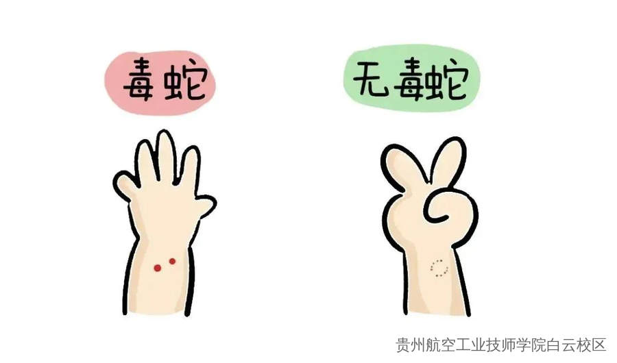 蛇类进入活跃期！防蛇安全指南，请转发给身边的朋友！