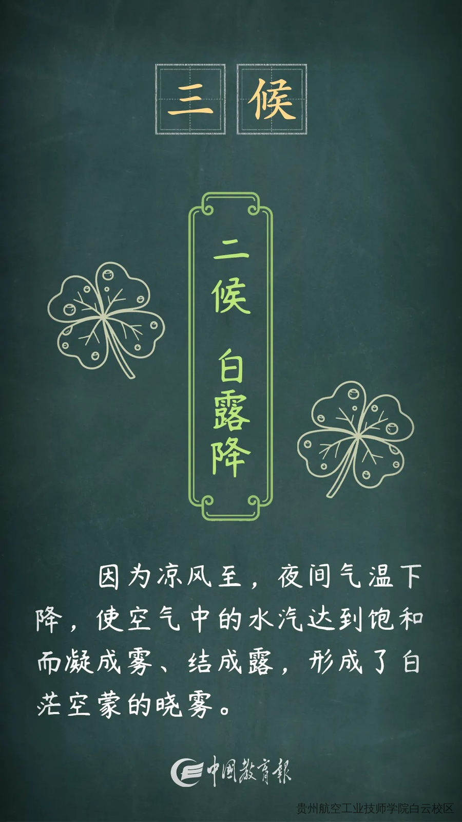 夏意犹未尽，忽觉秋已来——二十四节气之立秋