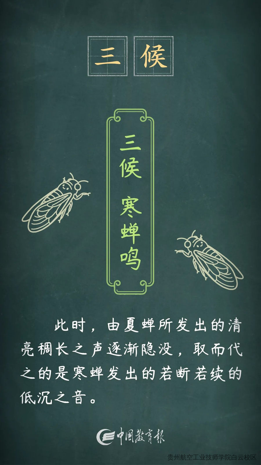 夏意犹未尽，忽觉秋已来——二十四节气之立秋