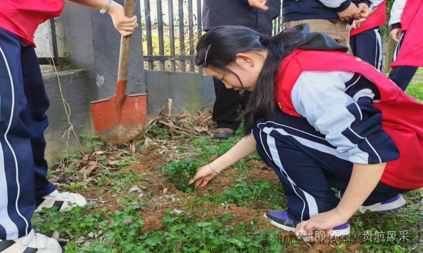 贵航白云校区“播种绿色希望 践行青春担当”植树节主题活动顺利开展
